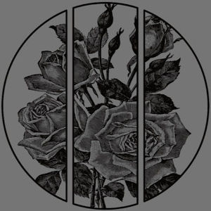 Meet your Posher, Alonso